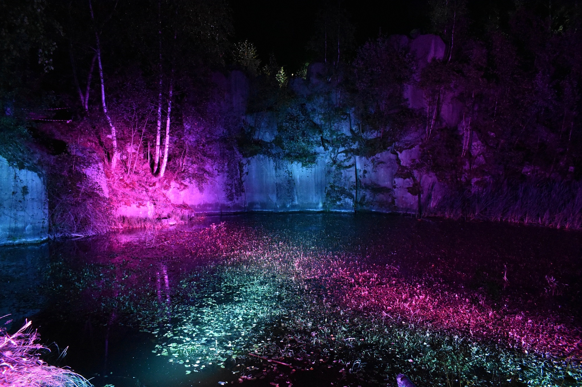 See im dunkeln mit Lichtakzenten