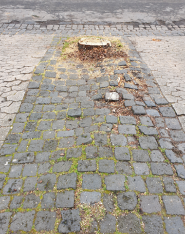 Angehobenes Pflaster im Bereich des Wurzelwerks 