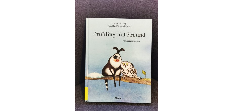 Das Buch von Annette Herzog „Frühling mit Freund“ liegt auf einem Tisch
