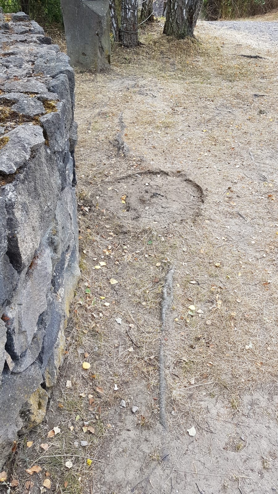 Standort des entwendeten Mühlsteins