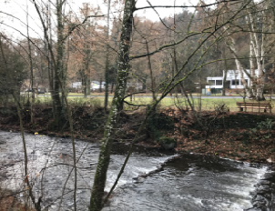 Bachlauf der Nette mit Ufer und Bewuchs