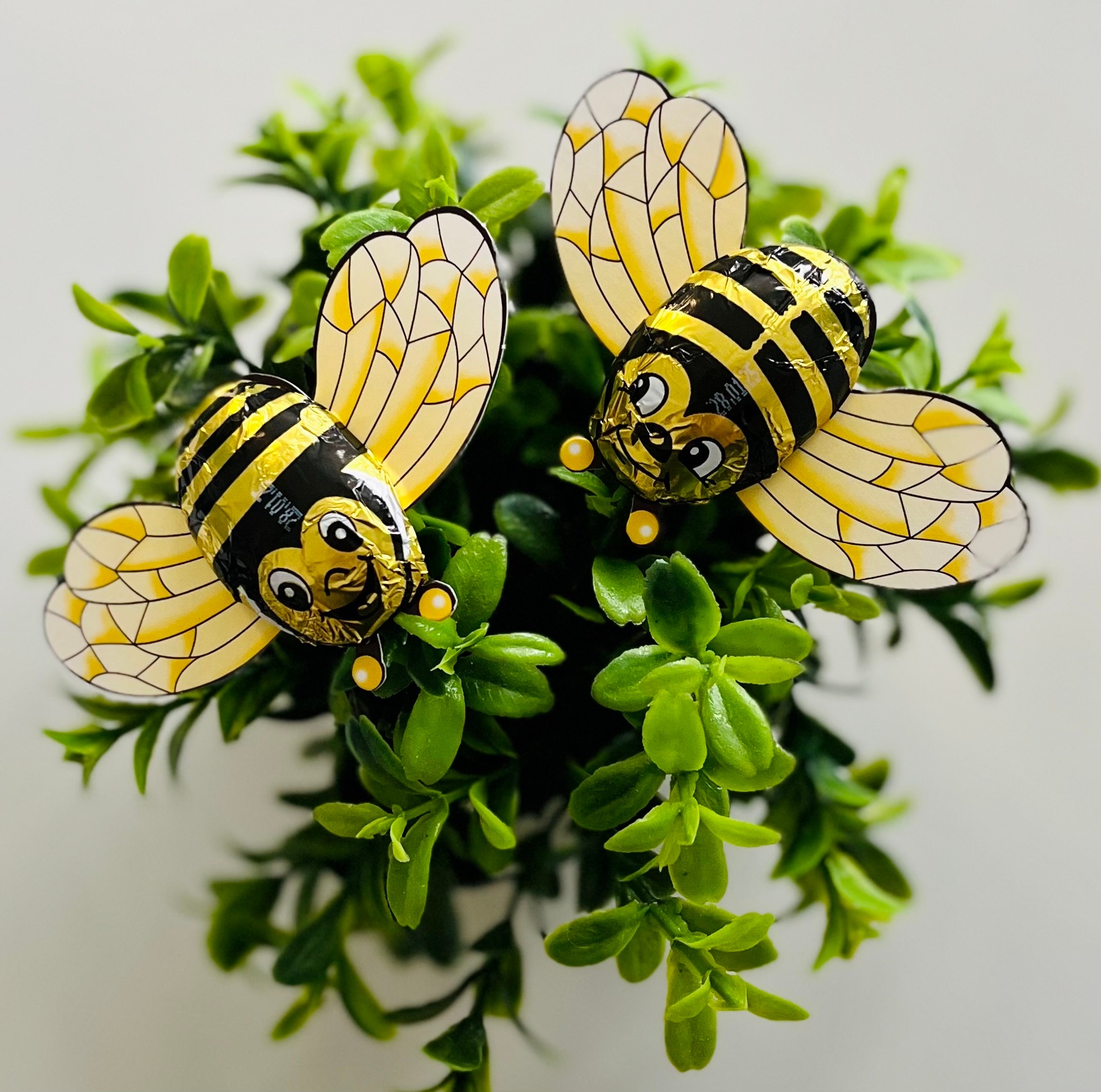 2 Schokobienen an einer Blume