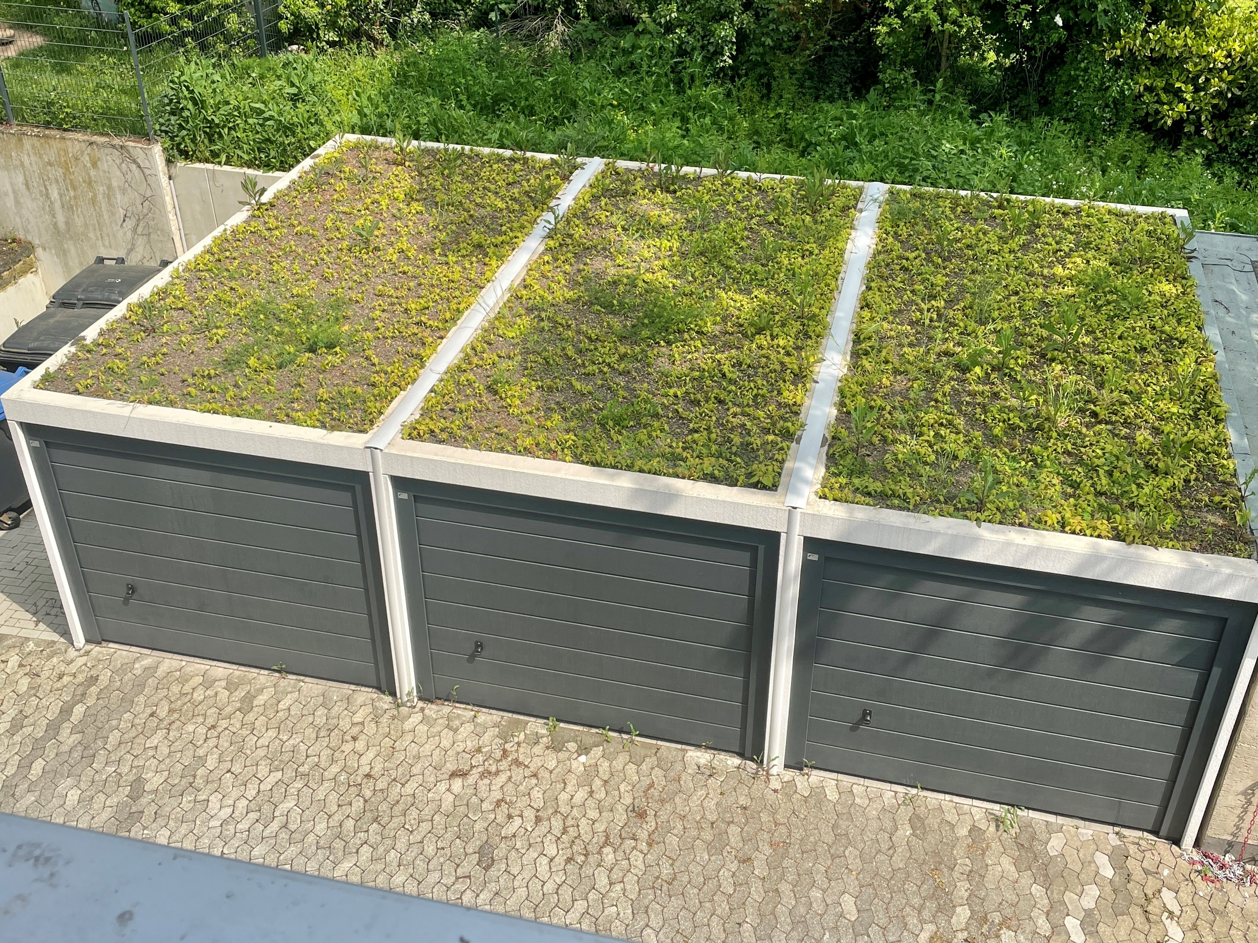 3 Garagen mit Dachbegrünung