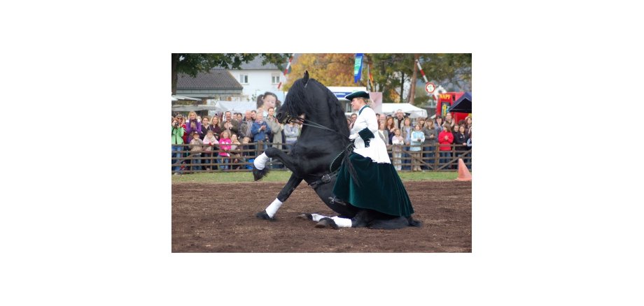 Frau in einem Kleid sitzt auf einem schwarzen Pferd, welches mit den Hinterbeinen auf dem Boden sitzt