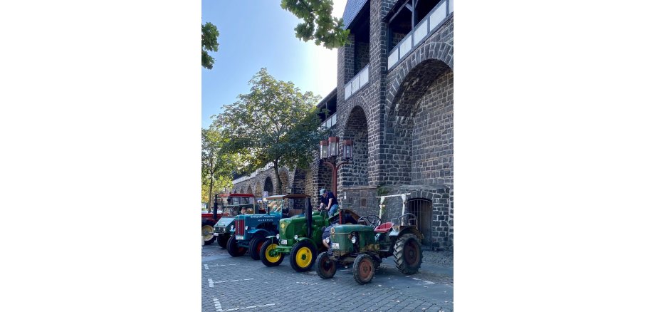 Alte Traktoren in einer Reihe aufgestellt