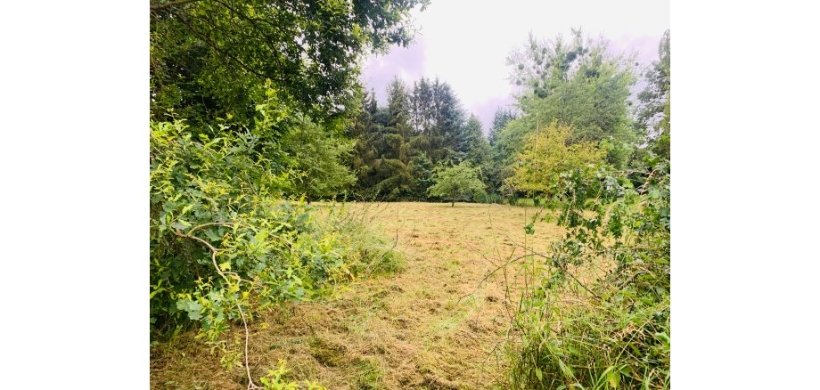 Gelände der neuen Waldkita