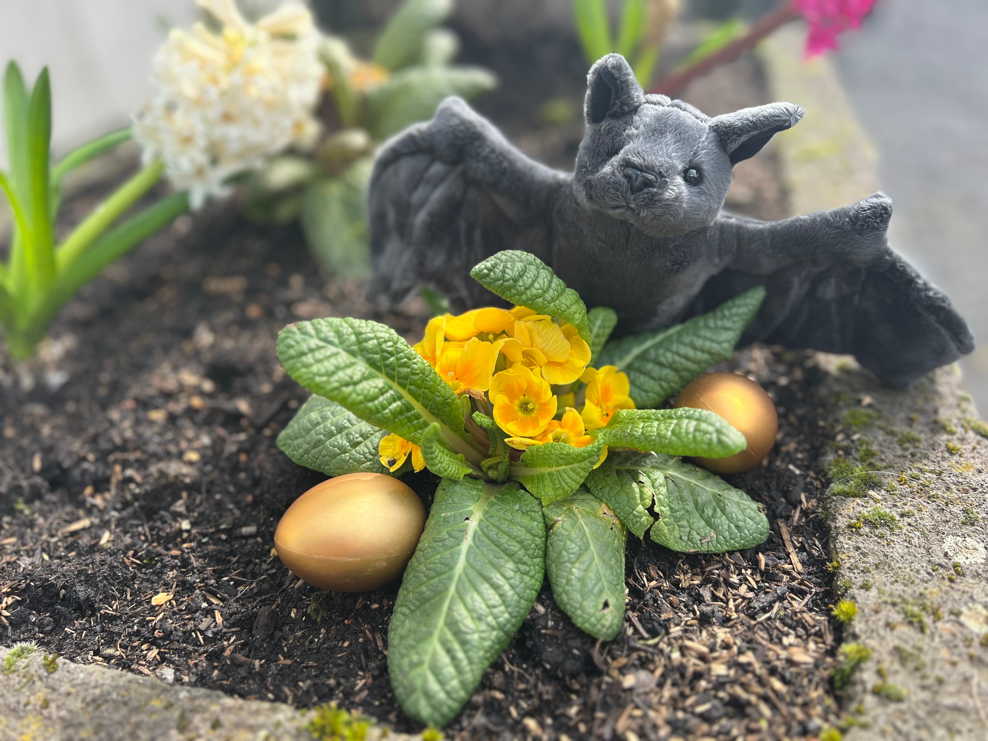Stofftierfledermaus mit Ostereiern im Blumenbeet versteckt