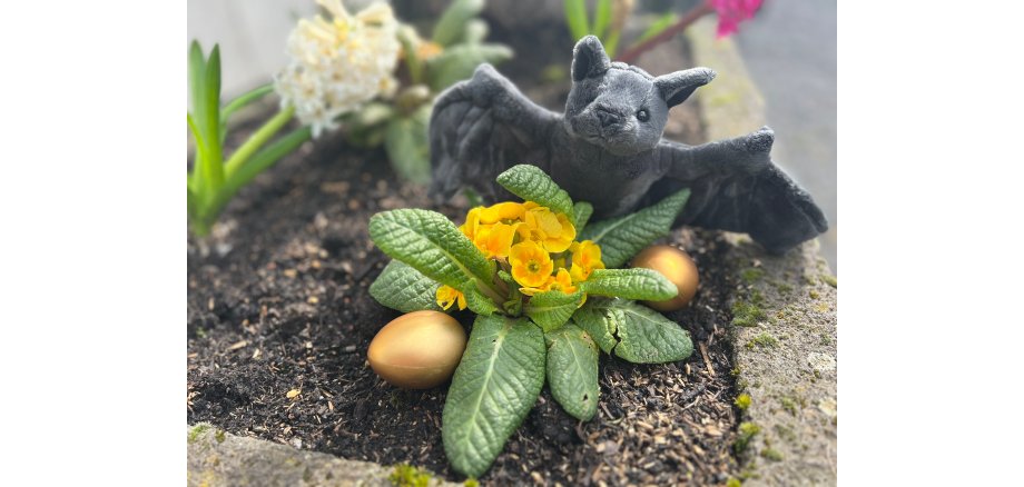 Stofftierfledermaus mit Ostereiern im Blumenbeet versteckt