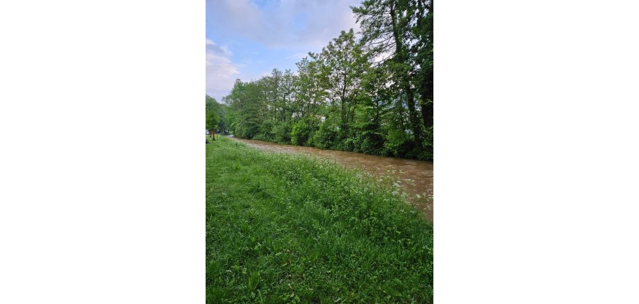 Eine Wiese mit einem Fluss - Der Pegelstand ist hoch