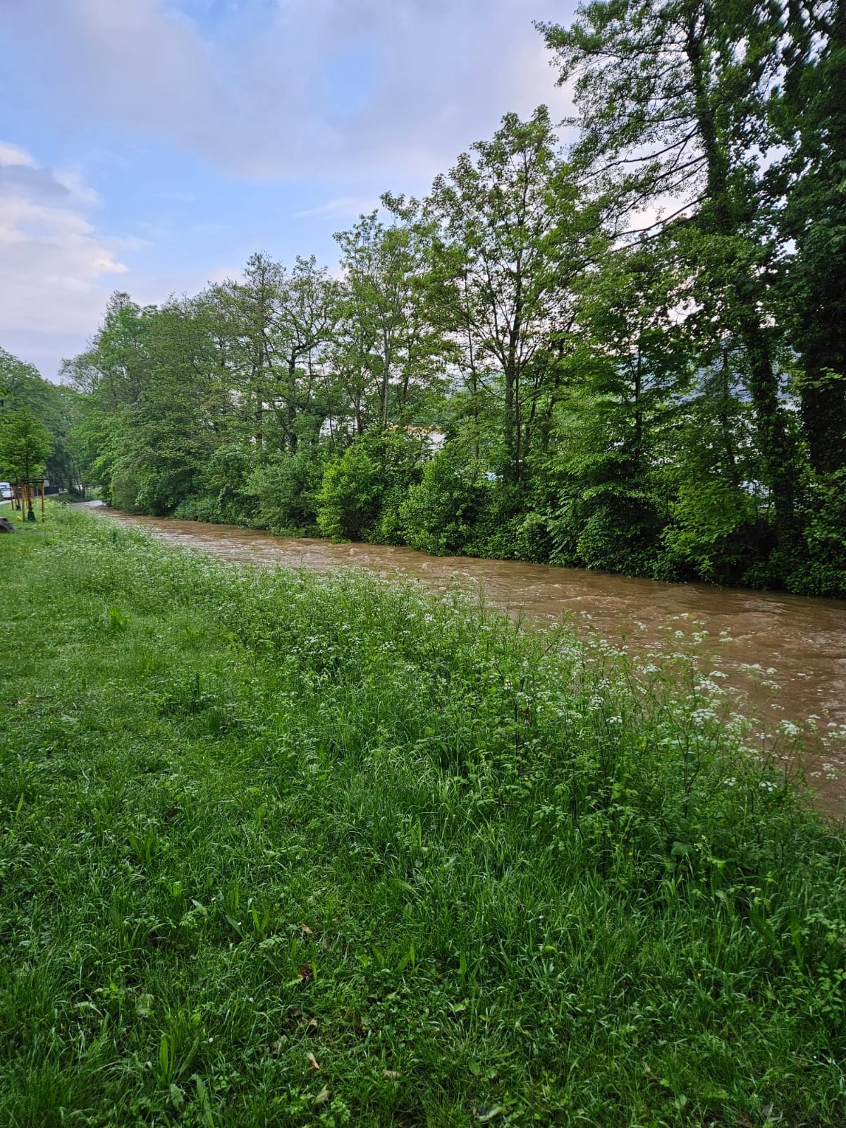 Eine Wiese mit einem Fluss - Der Pegelstand ist hoch