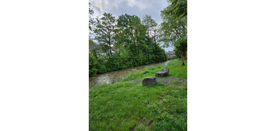 Bild von einem Bachlauf und Wiese