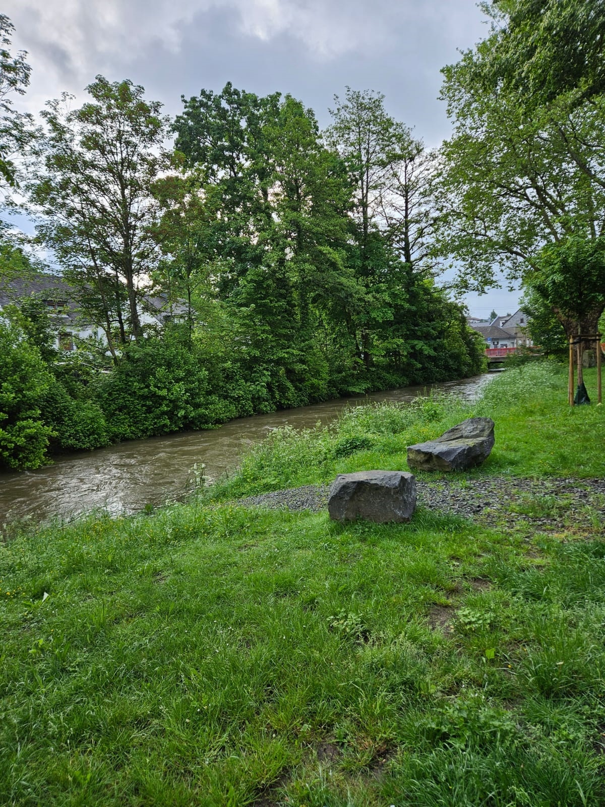 Bild von einem Bachlauf und Wiese