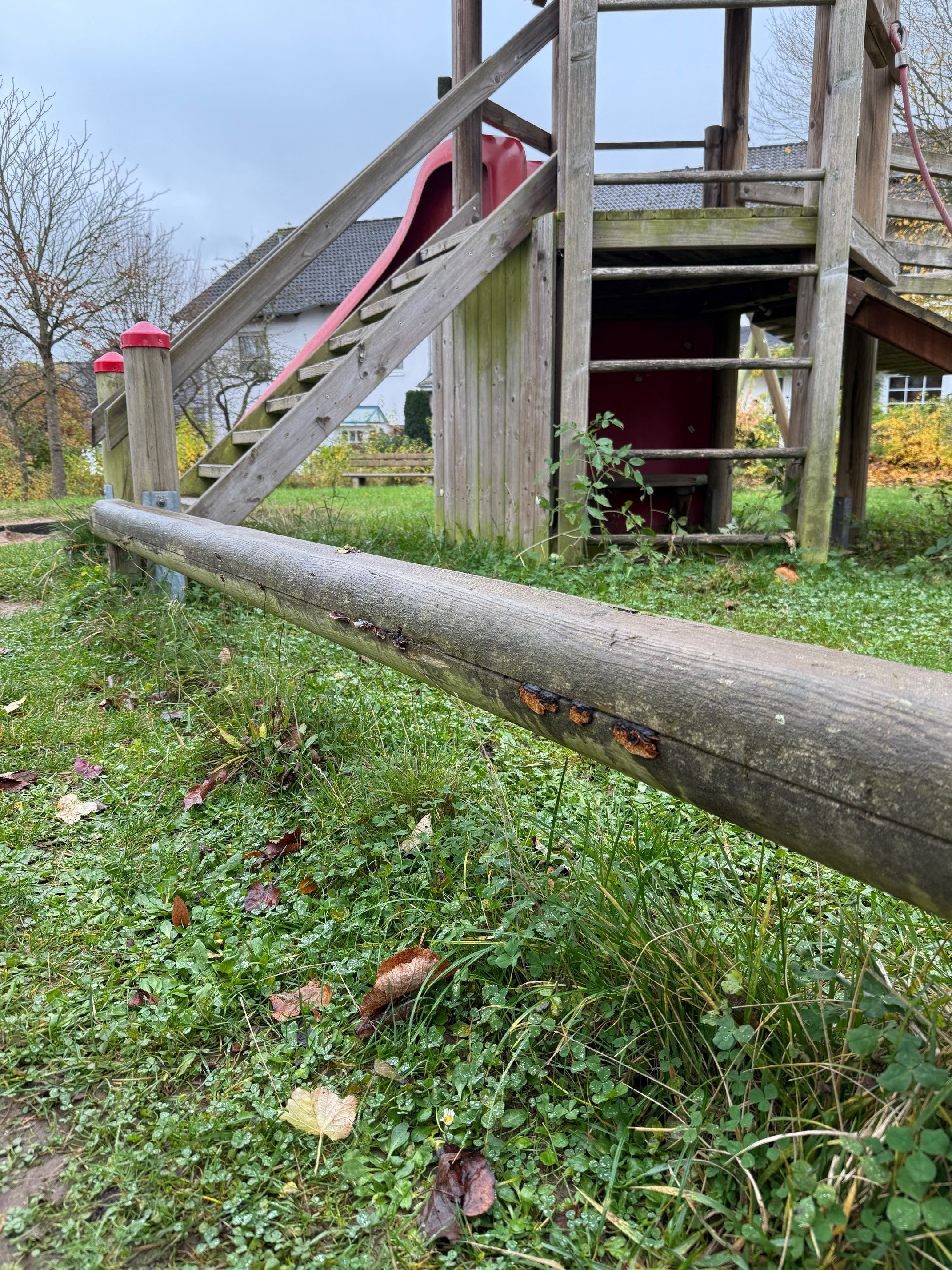 zu sehen Fäulnisbildung am Spielturm - Pilzbildung