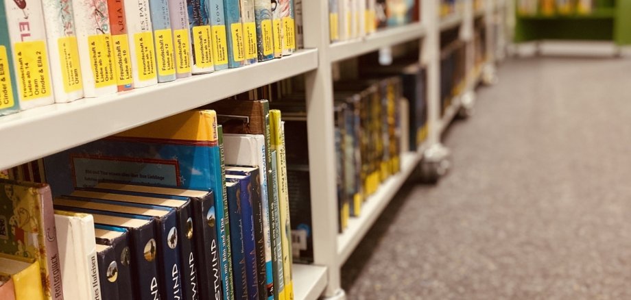 Viele bunte Kinderbücher in einem Regal