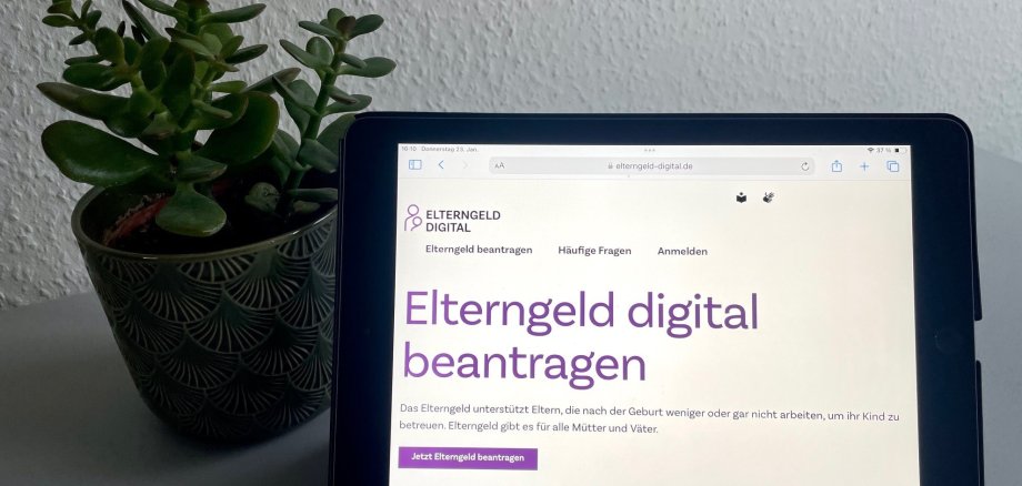 Pflanze und Tablet auf Schreibtisch