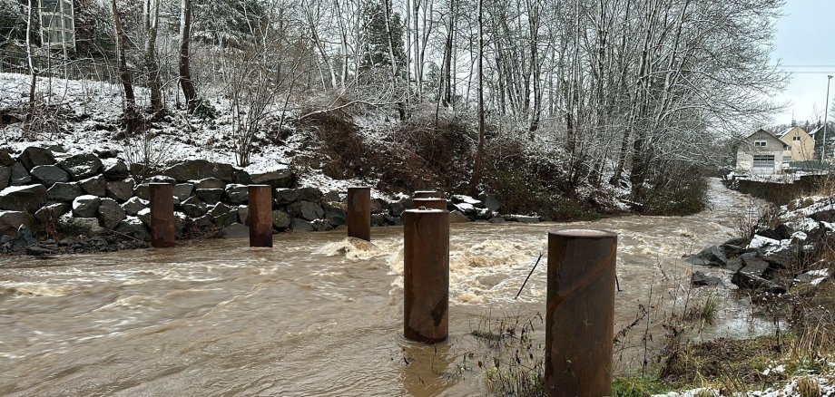 Die Nette im Bereich der Sagnesmühle –Treibgutrechen