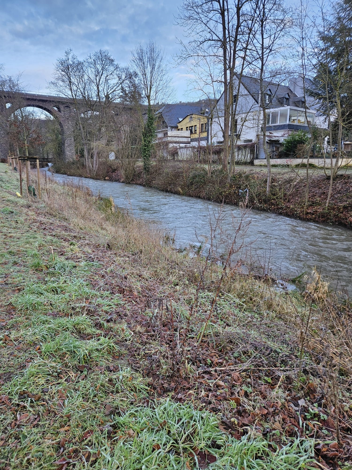 Aktueller Pegel der Nette im Bereich der Bürresheimer Straße am Mittwochmorgen 