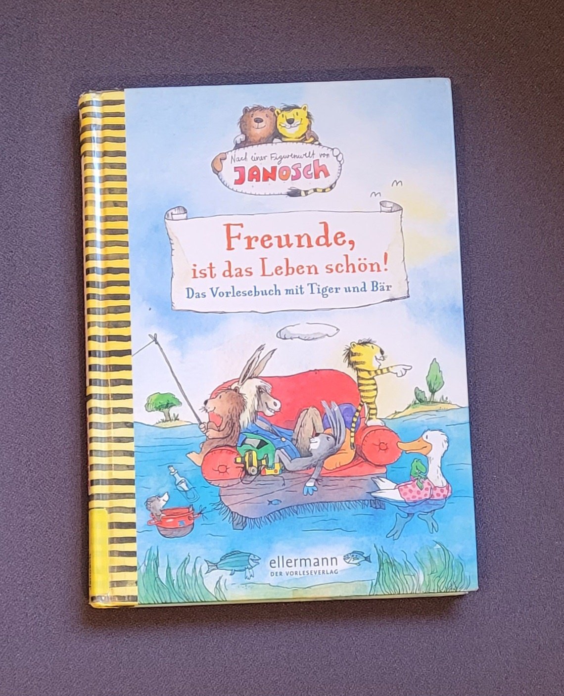 Ein Foto des Buches „Freunde, ist das Leben schön!“