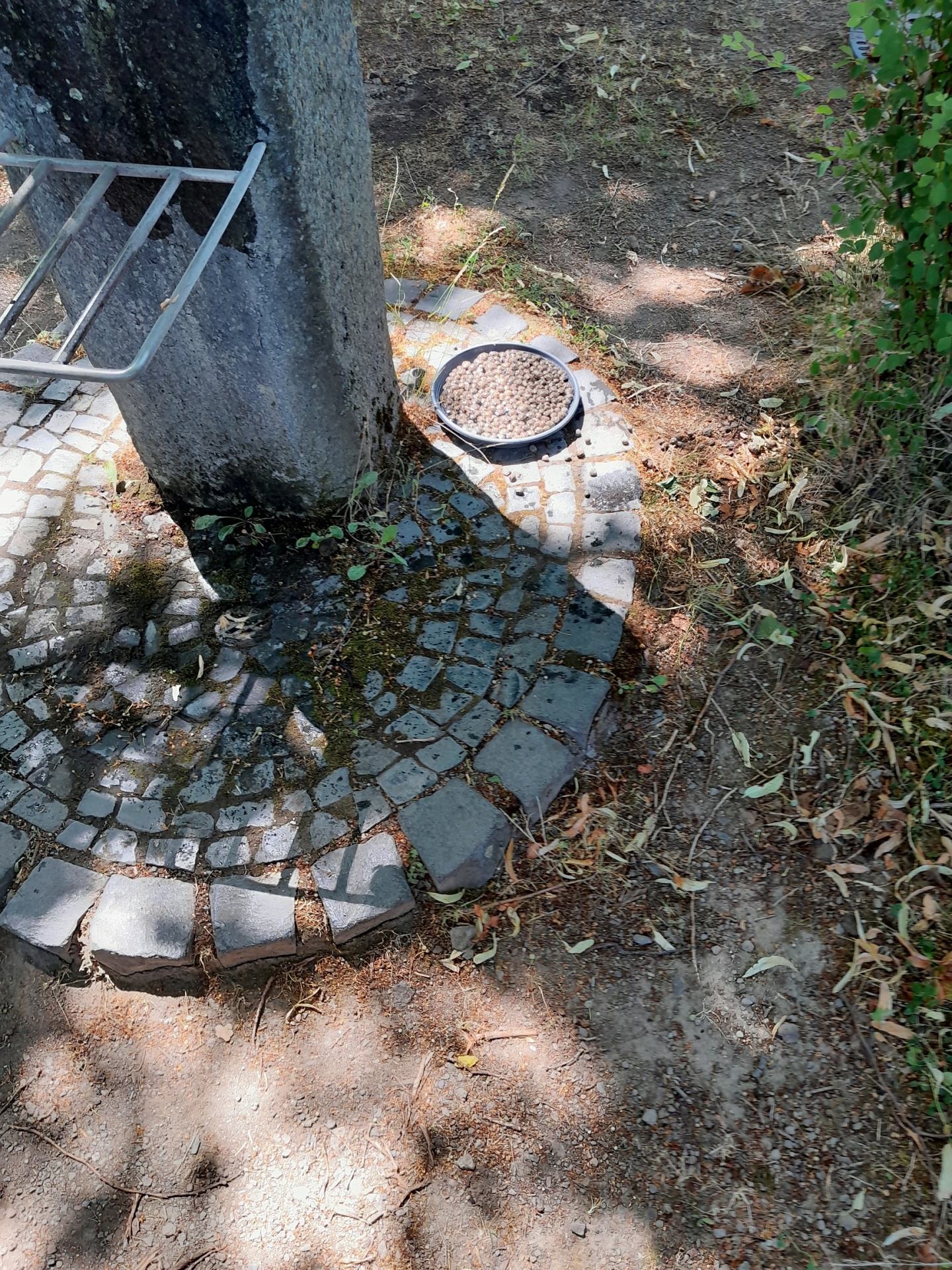 Die Insektentränken spenden Wasser an heißen Tagen