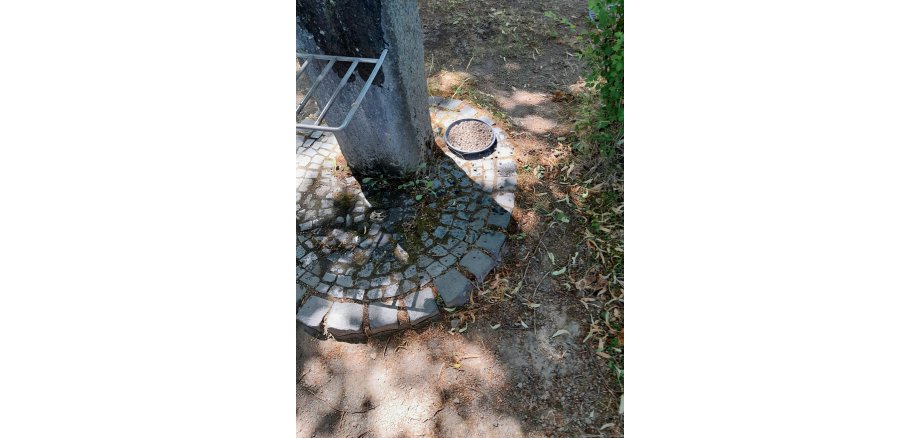 Die Insektentränken spenden Wasser an heißen Tagen