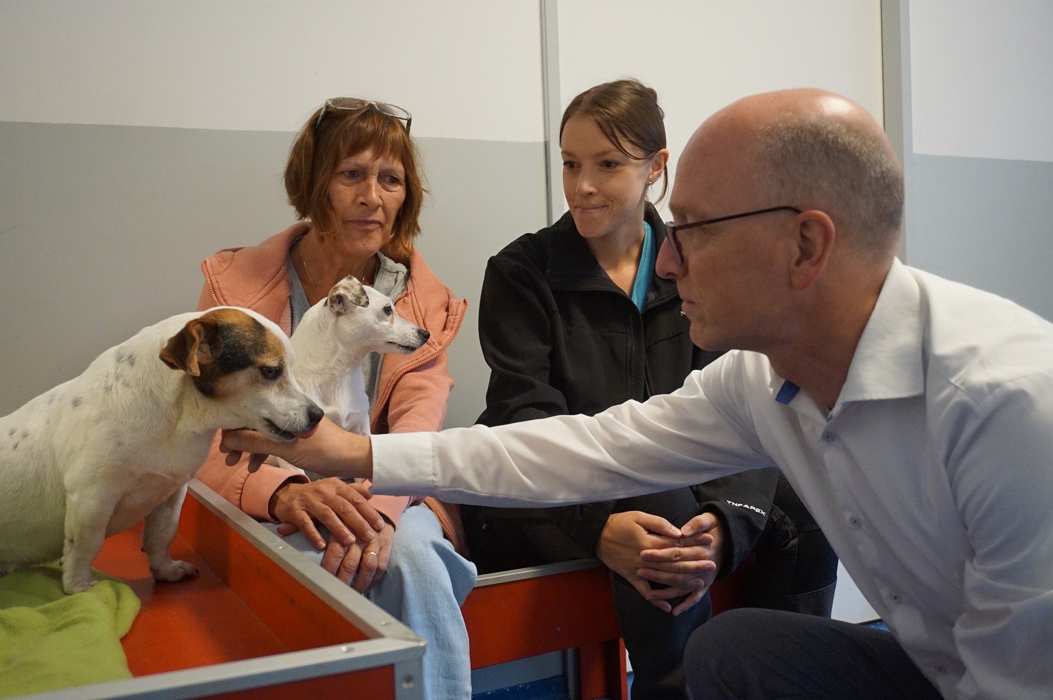 Ein Mann streichelt einen Hund - zwei Frauen sind im Hintergrund