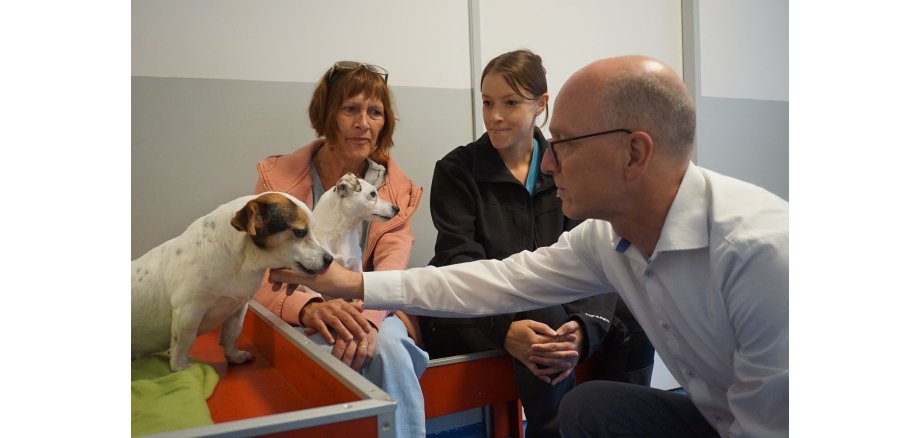 Ein Mann streichelt einen Hund - zwei Frauen sind im Hintergrund