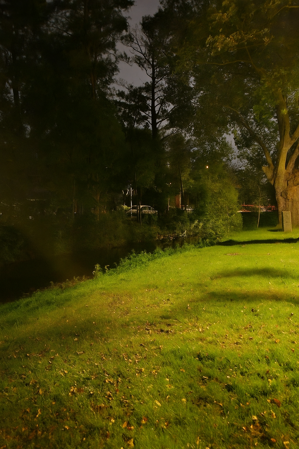 Die Nette im Bereich der Bürresheimer Straße am frühen Morgen Die Nette im Bereich der Bürresheimer Straße am frühen Morgen