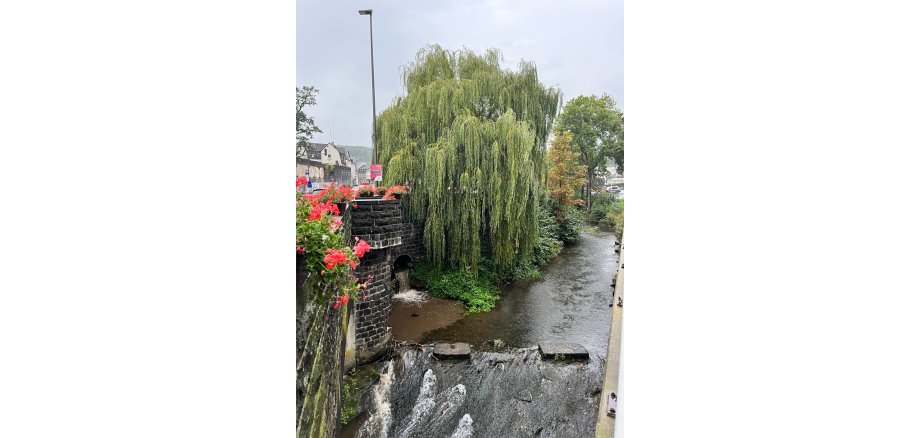 Die Nette im Bereich der Bachstraße /Habsburgring gegen 9 Uhr