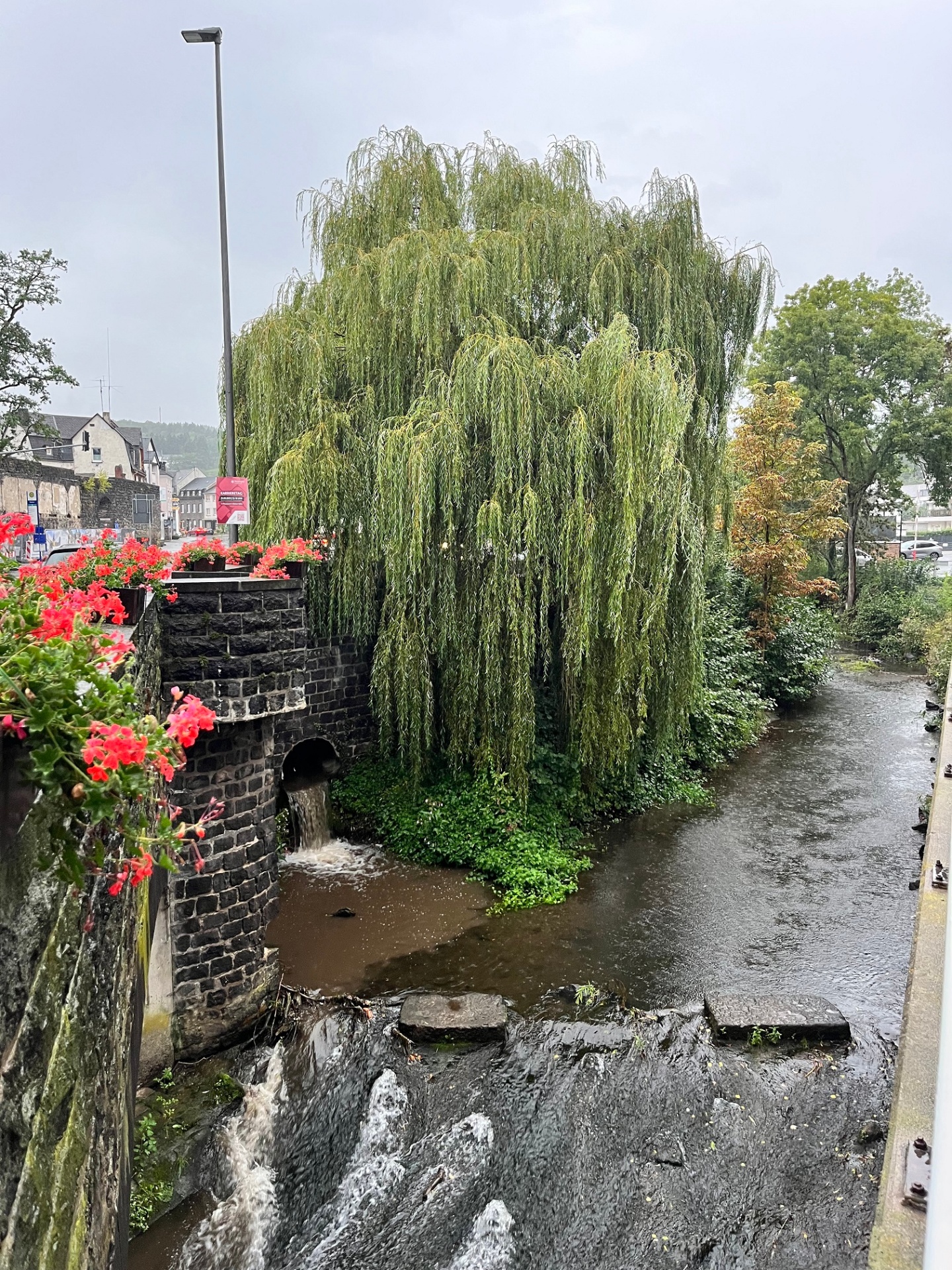 Die Nette im Bereich der Bachstraße /Habsburgring gegen 9 Uhr Die Nette im Bereich der Bachstraße /Habsburgring gegen 9 Uhr