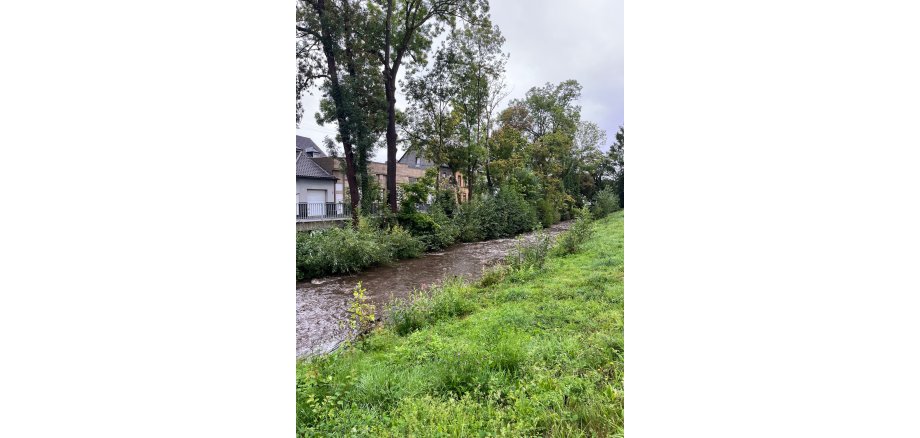 Die Nette im Bereich der Bürresheimer Straße gegen halb eins