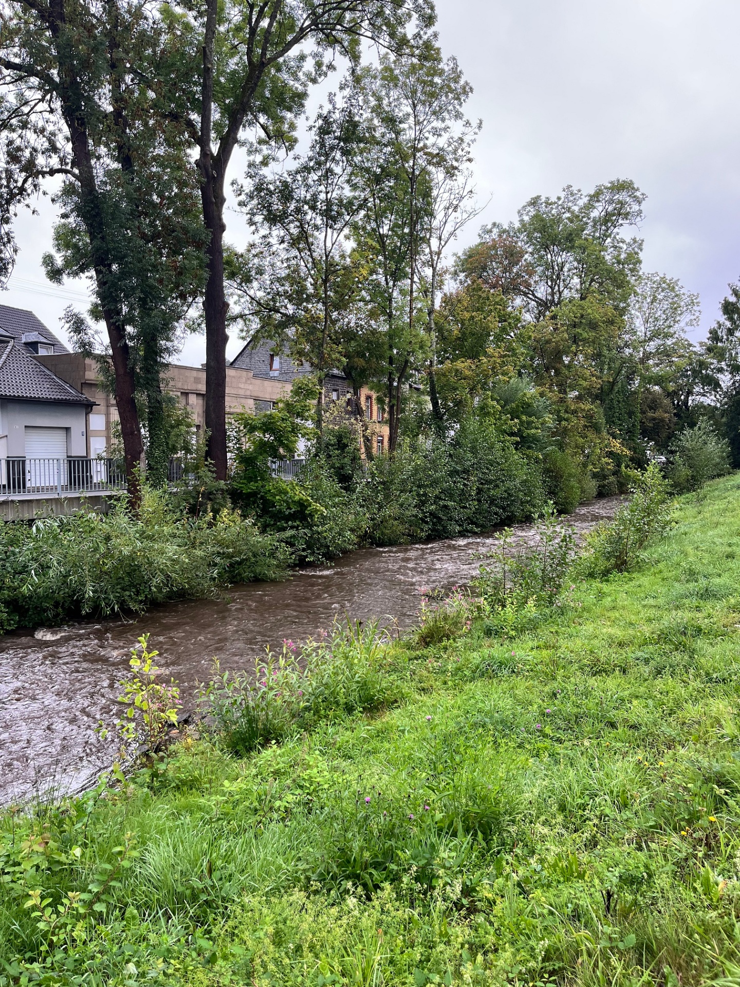 Die Nette im Bereich der Bürresheimer Straße gegen halb eins