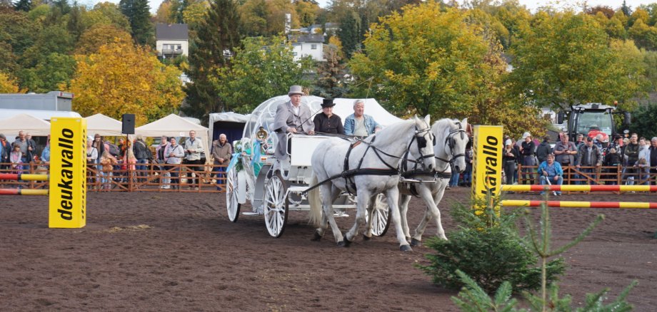 Eine Pferdekutsche mit zwei Pferden und einem Kutscher auf dem Viehmarktplatz