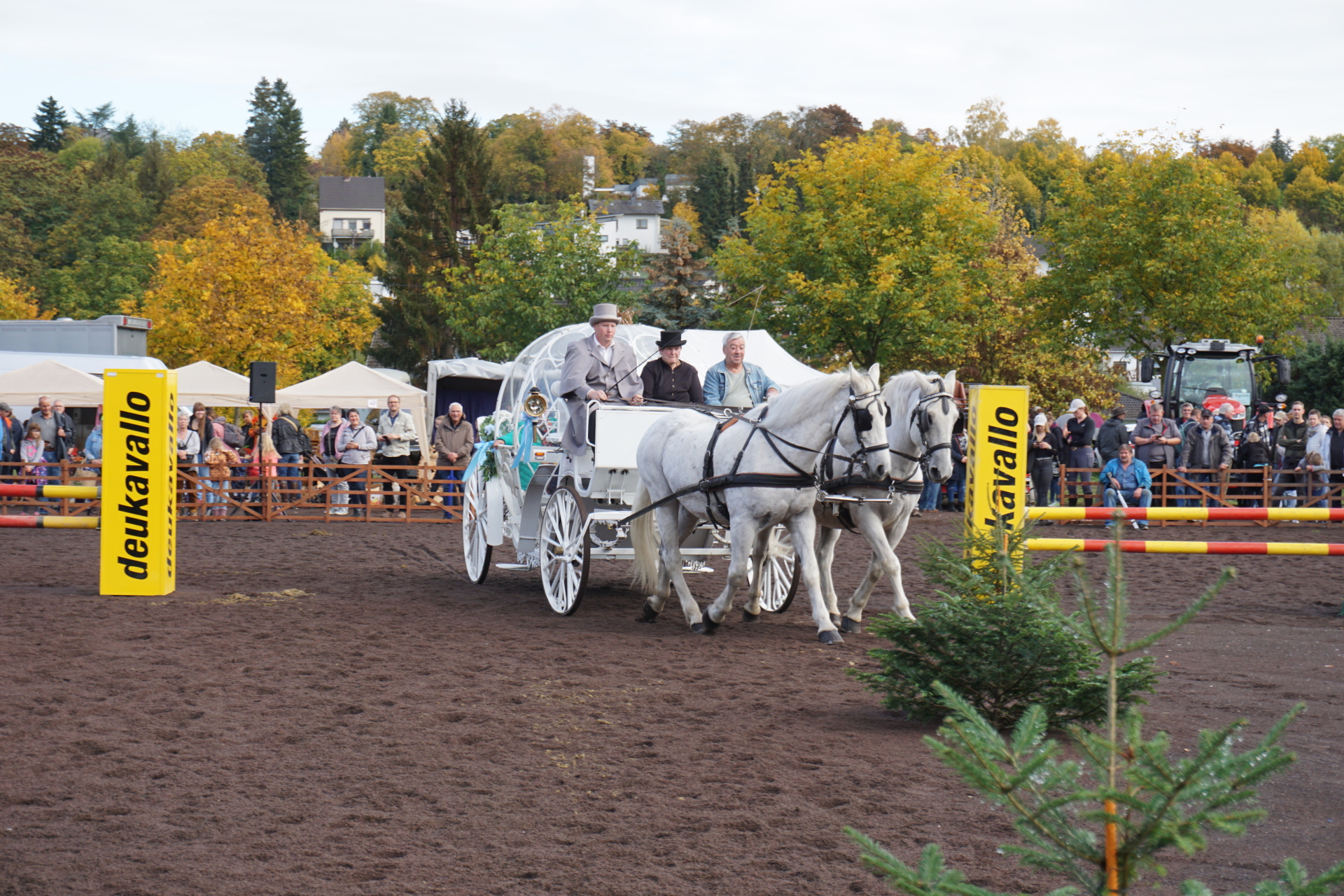 Eine Pferdekutsche mit zwei Pferden und einem Kutscher auf dem Viehmarktplatz
