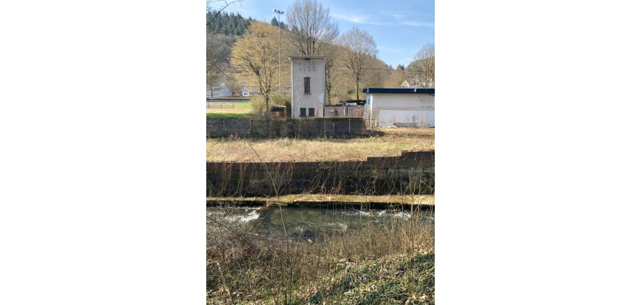 Renaturierung des Bereichs an der Nette