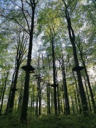 Klettermöglichkeiten im Kletterwald Klettermöglichkeiten im Kletterwald