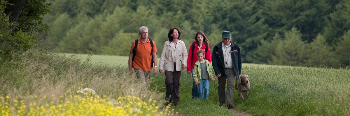 Traumpfade Eine Gruppe Wanderer auf dem Förstersteig