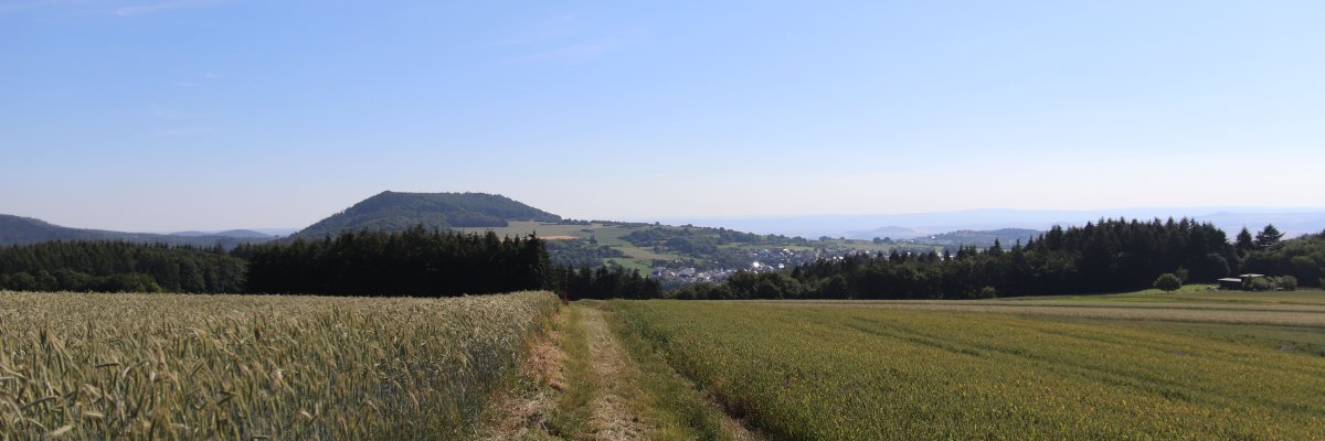 Blick in die Eifel vom Steinbüchel